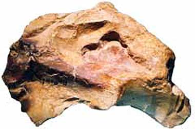 Lehmstein 13,2 cm Lippen und Wangen mit Feuer geroetet.
2 Bohransaetze. Der Linke haette die Waage gehalten.